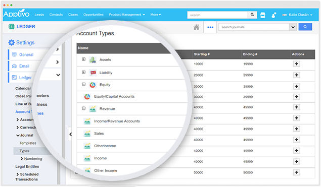 account types ledger