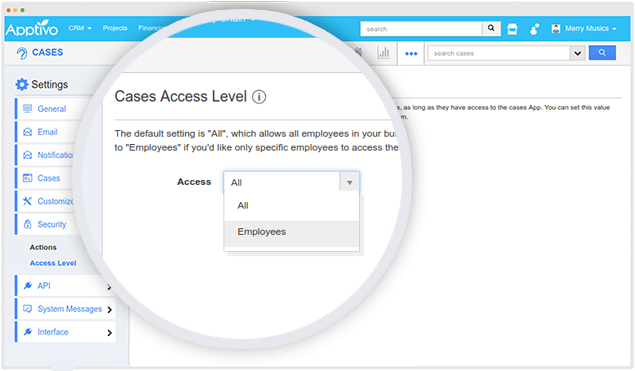 customer access level