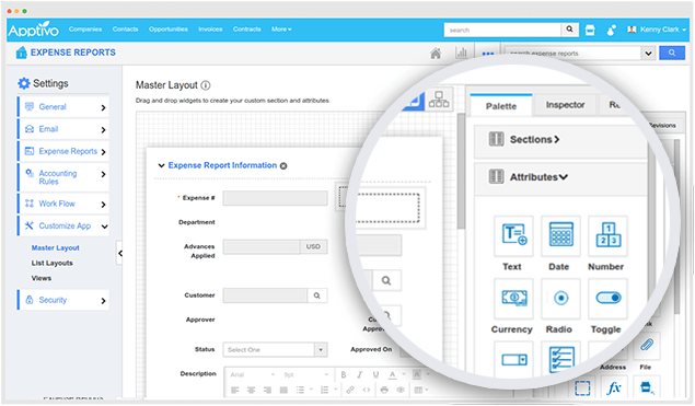 highly customizable expense reports