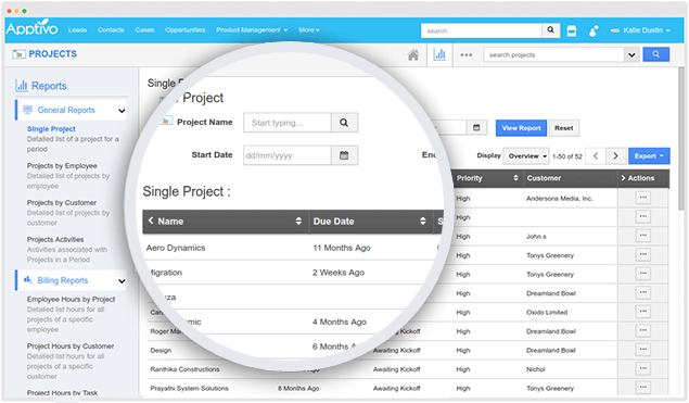 projects reports